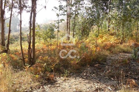 Helårsgrund i Guimaraes, Braga, Guimaraes - € 56.000 | Ref: 356/T/00306 - foto 17
