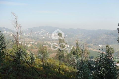 Helårsgrund i Guimaraes, Braga, Guimaraes - € 56.000 | Ref: 356/T/00306 - foto 18