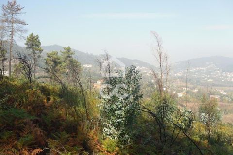 Helårsgrund i Guimaraes, Braga, Guimaraes - € 56.000 | Ref: 356/T/00306 - foto 19