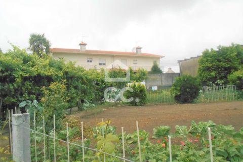 Villa i Serzedelo, Braga, Serzedelo - € 480.000 | Ref: 356/M/00307 - foto 3