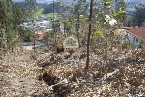 Terra a Lordelo, Braga, Lordelo - € 80.000 | Ref: 356/T/00330 - foto 2