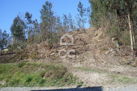 Terra a Lordelo, Braga, Lordelo - € 80.000 | Ref: 356/T/00330 - foto 3