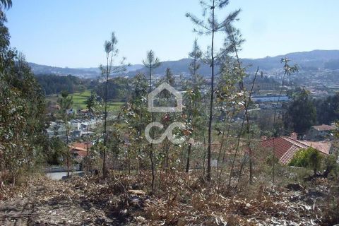 Terra a Lordelo, Braga, Lordelo - € 80.000 | Ref: 356/T/00330 - foto 5