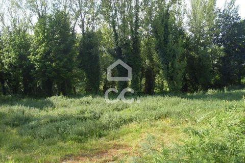 Helårsgrund i Guimaraes, Braga, Guimaraes - € 50.000 | Ref: 356/T/00367 - foto 6