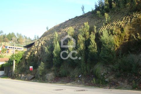Terra a Riba de Ave, Braga, Riba de Ave - € 87.500 | Ref: 336/T/00910 - foto 2