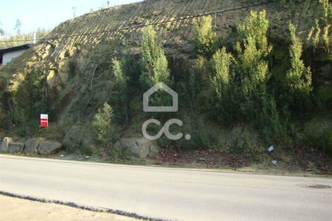 Terra a Riba de Ave, Braga, Riba de Ave - € 87.500 | Ref: 336/T/00910 - foto 3