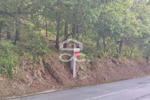 Tomt i Fafe, Braga, Fafe - € 113 000 | Ref: 336/T/01369 - foto 3