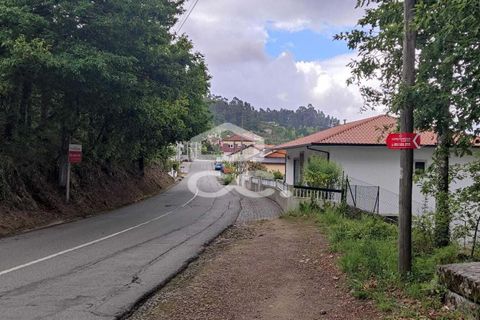 Tomt i Fafe, Braga, Fafe - € 113 000 | Ref: 336/T/01369 - foto 4