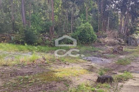 Tomt i Fafe, Braga, Fafe - € 113 000 | Ref: 336/T/01369 - foto 6