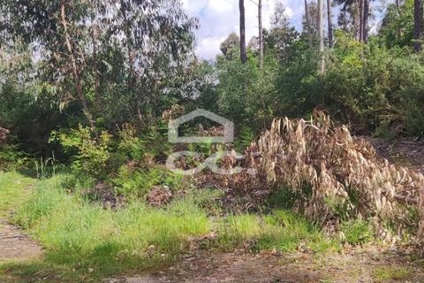 Tomt i Fafe, Braga, Fafe - € 113 000 | Ref: 336/T/01369 - foto 7