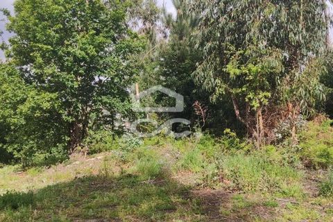 Tomt i Fafe, Braga, Fafe - € 113 000 | Ref: 336/T/01369 - foto 8