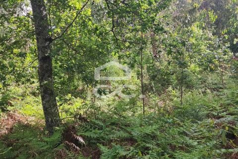Tomt i Fafe, Braga, Fafe - € 113 000 | Ref: 336/T/01369 - foto 10