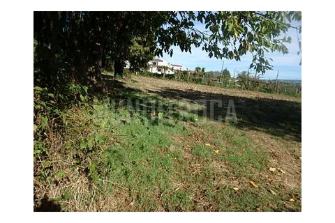 Granja a Braga, Braga, Braga - € 500.000 | Ref: 2565 - foto 4