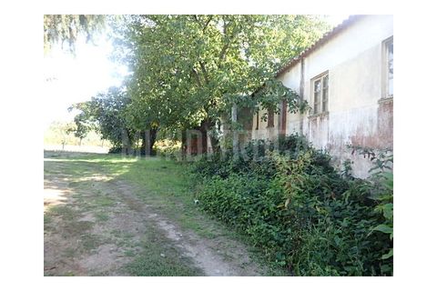 Granja a Braga, Braga, Braga - € 500.000 | Ref: 2565 - foto 5