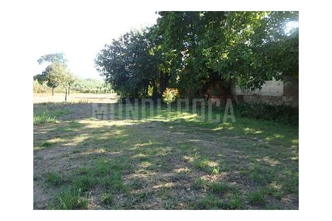 Granja a Braga, Braga, Braga - € 500.000 | Ref: 2565 - foto 6