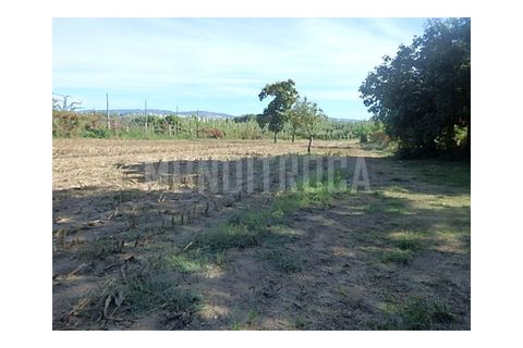 Granja a Braga, Braga, Braga - € 500.000 | Ref: 2565 - foto 7