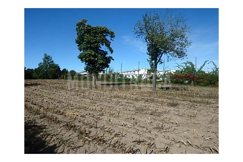Granja a Braga, Braga, Braga - € 500.000 | Ref: 2565 - foto 8