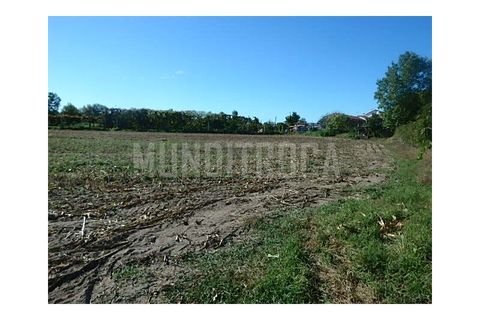 Granja a Braga, Braga, Braga - € 500.000 | Ref: 2565 - foto 9