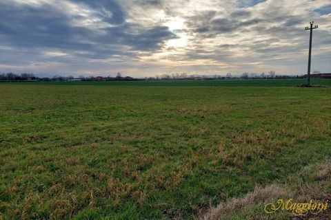 Helårsgrund i Parma, Parma, Parma - € 300.000 | Ref: MAGNO1 - foto 7