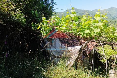 Landejendom i Moncao, Viana do Castelo, Moncao - € 30.000 | Ref: CC403 - foto 8