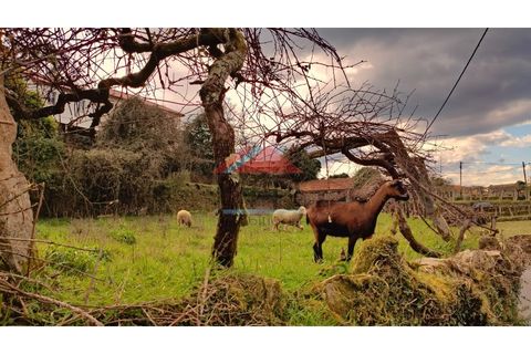 Landejendom i Moncao, Viana do Castelo, Moncao - € 30.000 | Ref: CC403 - foto 10