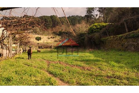 Landejendom i Moncao, Viana do Castelo, Moncao - € 30.000 | Ref: CC403 - foto 13