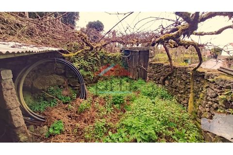 Landejendom i Moncao, Viana do Castelo, Moncao - € 30.000 | Ref: CC403 - foto 15