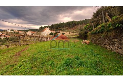 Landejendom i Moncao, Viana do Castelo, Moncao - € 30.000 | Ref: CC403 - foto 18