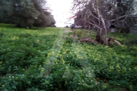 Helårsgrund i Almancil, Faro, Almancil - € 180.000 | Ref: 1230396/22VL - foto 2