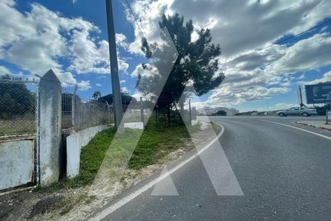 Helårsgrund i Amora, Setubal, Amora - € 300.000 | Ref: 1210450/23SX - foto 4