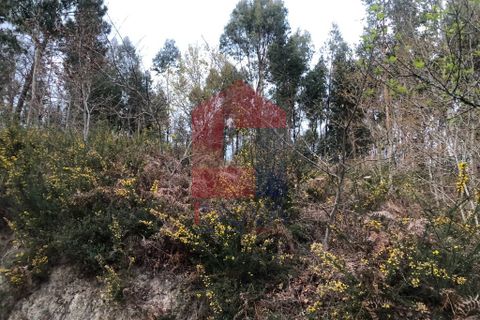 Helårsgrund i Vila Verde, Braga, Vila Verde - € 80.000 | Ref: 08017 - foto 4