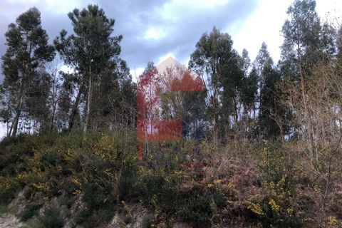 Helårsgrund i Vila Verde, Braga, Vila Verde - € 80.000 | Ref: 08017 - foto 5