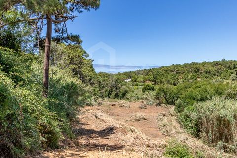 Helårsgrund i Ericeira, Lisbon, Ericeira - € 470.000 | Ref: V23048 - foto 2