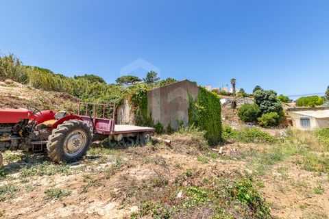 Helårsgrund i Ericeira, Lisbon, Ericeira - € 470.000 | Ref: V23048 - foto 5