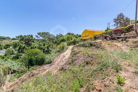 Helårsgrund i Ericeira, Lisbon, Ericeira - € 470.000 | Ref: V23048 - foto 8
