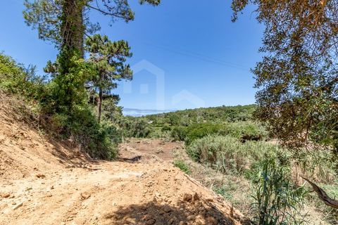 Helårsgrund i Ericeira, Lisbon, Ericeira - € 470.000 | Ref: V23048 - foto 9