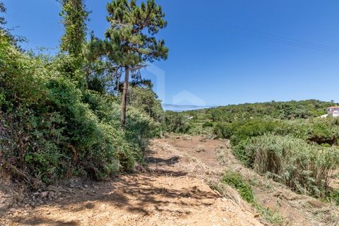 Helårsgrund i Ericeira, Lisbon, Ericeira - € 470.000 | Ref: V23048 - foto 12