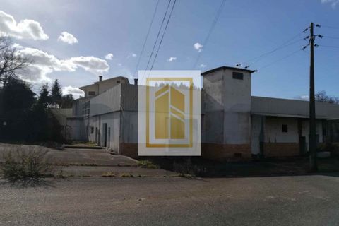 Erhvervsejendom i Anadia, Aveiro, Anadia - € 185.000 | Ref: 434 - foto 2