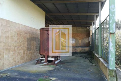 Erhvervsejendom i Anadia, Aveiro, Anadia - € 185.000 | Ref: 434 - foto 3