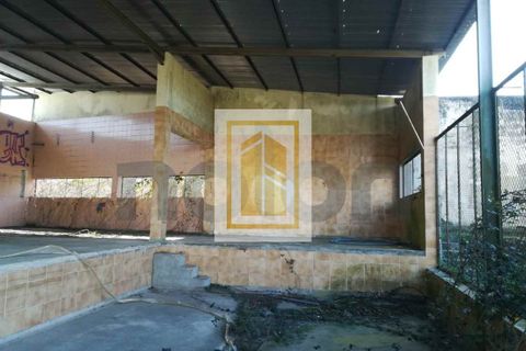 Erhvervsejendom i Anadia, Aveiro, Anadia - € 185.000 | Ref: 434 - foto 4