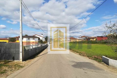 Erhvervsejendom i Anadia, Aveiro, Anadia - € 185.000 | Ref: 434 - foto 6