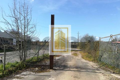Erhvervsejendom i Anadia, Aveiro, Anadia - € 185.000 | Ref: 434 - foto 7