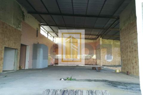 Erhvervsejendom i Anadia, Aveiro, Anadia - € 185.000 | Ref: 434 - foto 8