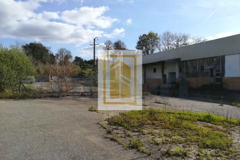 Erhvervsejendom i Anadia, Aveiro, Anadia - € 185.000 | Ref: 434 - foto 9