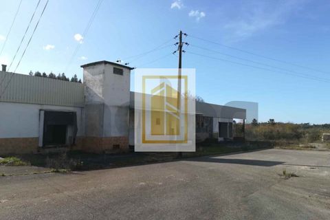 Erhvervsejendom i Anadia, Aveiro, Anadia - € 185.000 | Ref: 434 - foto 10