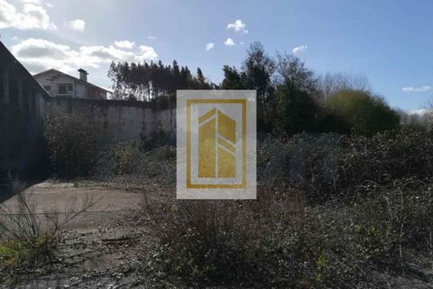 Erhvervsejendom i Anadia, Aveiro, Anadia - € 185.000 | Ref: 434 - foto 13