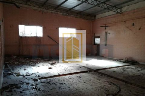 Erhvervsejendom i Anadia, Aveiro, Anadia - € 185.000 | Ref: 434 - foto 14
