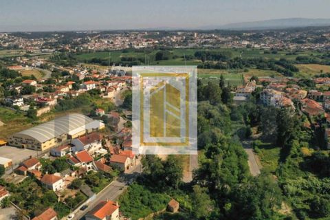 Helårsgrund i Agueda, Aveiro, Agueda - € 27.400 | Ref: 482 - foto 4