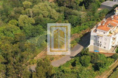 Helårsgrund i Agueda, Aveiro, Agueda - € 27.400 | Ref: 482 - foto 5