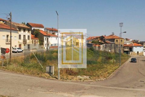 Helårsgrund i Agueda, Aveiro, Agueda - € 32.600 | Ref: 485 - foto 7